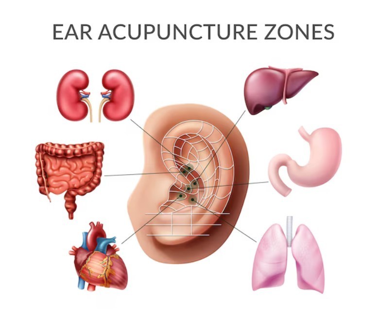 Auricular Acupuncture, Traditional Chinese Medicine, TCM, Sacred Patterns Acupuncture, Ear Acupuncture, Holistic, Medicine, Alternative, Natural