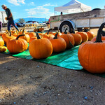 ABQ Rail Yards Market - Sacred Patterns Acupuncture - Dr Andrew Moser, DOM, MBA - September 29, 2024 