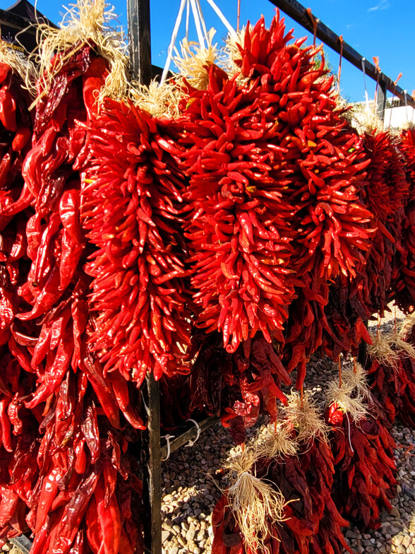 ABQ Rail Yards Market - Sacred Patterns Acupuncture - Dr Andrew Moser, DOM, MBA - September 29, 2024 