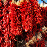 ABQ Rail Yards Market - Sacred Patterns Acupuncture - Dr Andrew Moser, DOM, MBA - September 29, 2024 