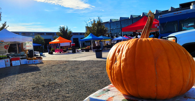 The Last RailYards ABQ Market of the 2024 Season image