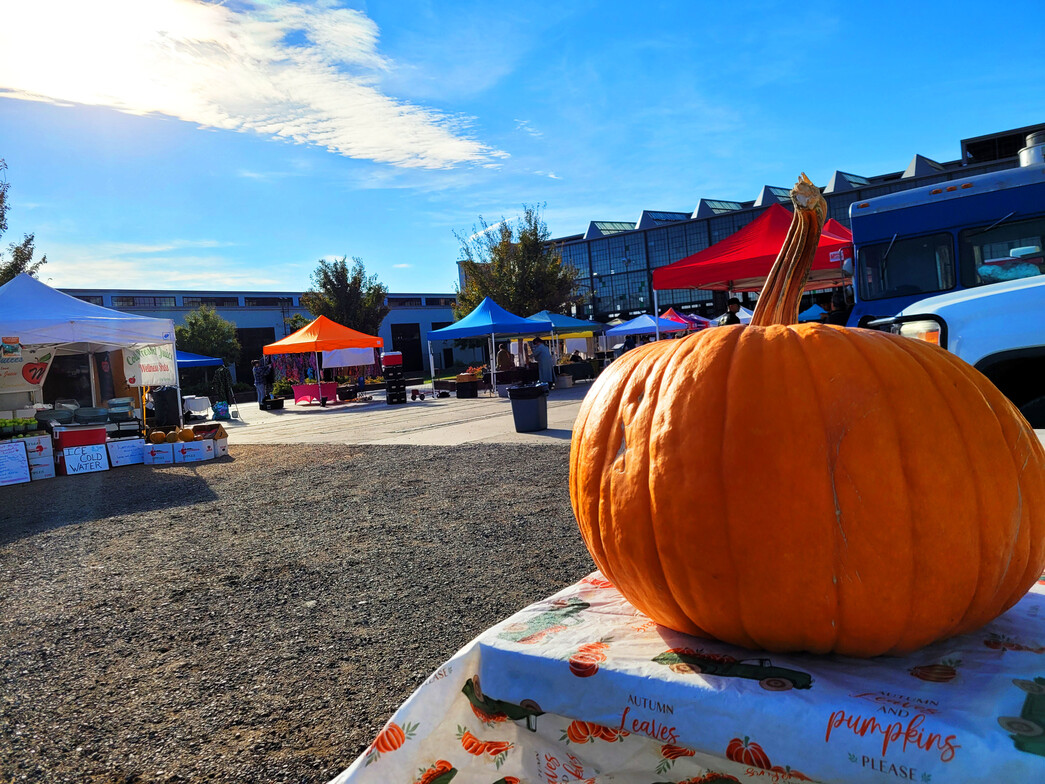 ABQ RailYards Market - Sacred Patterns Acupuncture - October 27, 2024 - Dr. Andrew Moser, DOM, MBA 