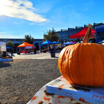 ABQ RailYards Market - Sacred Patterns Acupuncture - October 27, 2024 - Dr. Andrew Moser, DOM, MBA 