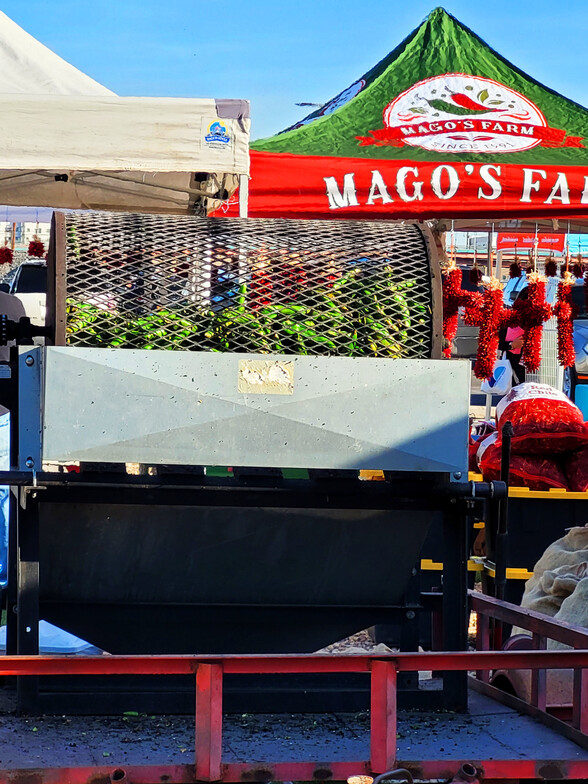 ABQ RailYards Market - Sacred Patterns Acupuncture - October 27, 2024 - Dr. Andrew Moser, DOM, MBA 