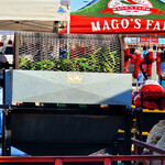 ABQ RailYards Market - Sacred Patterns Acupuncture - October 27, 2024 - Dr. Andrew Moser, DOM, MBA 