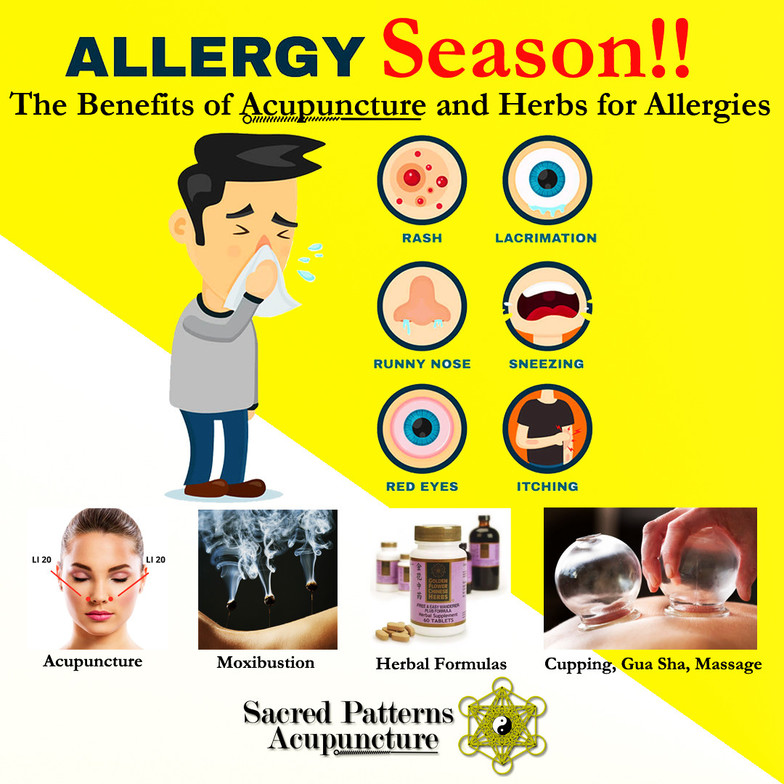 Allergies - Acupuncture - Traditional Chinese Medicine - Herbs - Gua Sha - Cupping - Massage - Sacred Patterns Acupuncture - Dr. Andrew Moser, DOM, MBA - Albuquerque - New Mexico