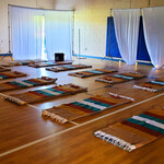 ¡Viva Corrales! Health & Wellness Community Event - April 2025 - Sacred Patterns Acupuncture - Dr. Andrew Moser, DOM, MBA - Albuquerque, NM