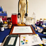 Psychic Healing Fair, Resonant Essentials, Albuquerque, NM, Sacred Patterns Acupuncture, Dr. Andrew Moser, DOM, MBA