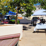 Psychic Healing Fair, Resonant Essentials, Sacred Patterns Acupuncture, Dr. Andrew Moser, DOM, MBA, Albuquerque, NM