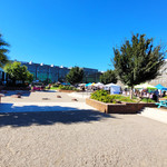Rail Yards Market - Albuquerque, NM - Sacred Patterns Acupuncture - Dr. Andrew Moser, DOM, MBA - September 21, 2025