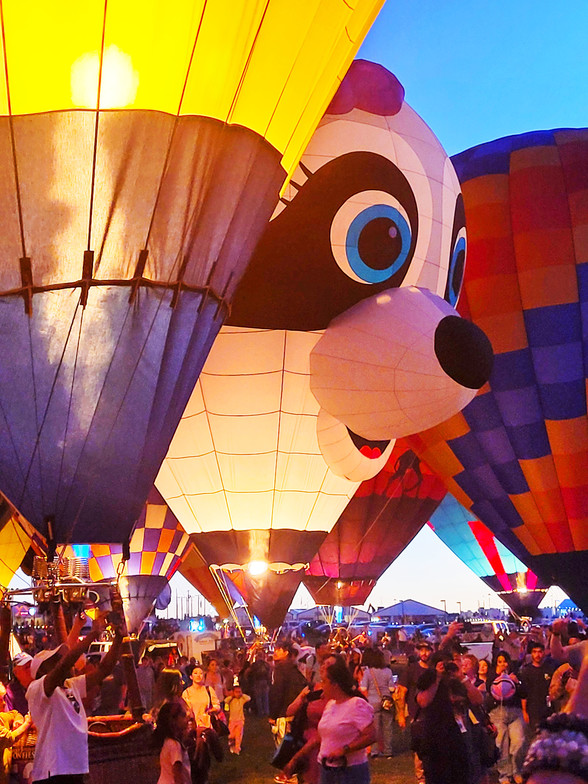 Albuquerque International Balloon Fiesta, Sacred Patterns Acupuncture, Dr. Andrew Moser, DOM, MBA, October 2025