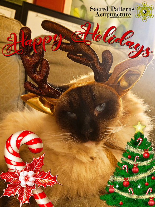 Sacred Patterns Acupuncture, Dr. Andrew Moser, DOM, MBA, Albuquerque, NM, Mr. Meow Meow, Health and Happiness, Happy New Year, Holiday Season