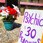 Psychic Healing Fair, Resonant Essentials, Albuquerque, NM, Sacred Patterns Acupuncture, Dr. Andrew Moser, DOM, MBA, August 2026